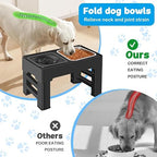 Elevated Dog Bowls