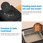 Elevated Dog Bowls